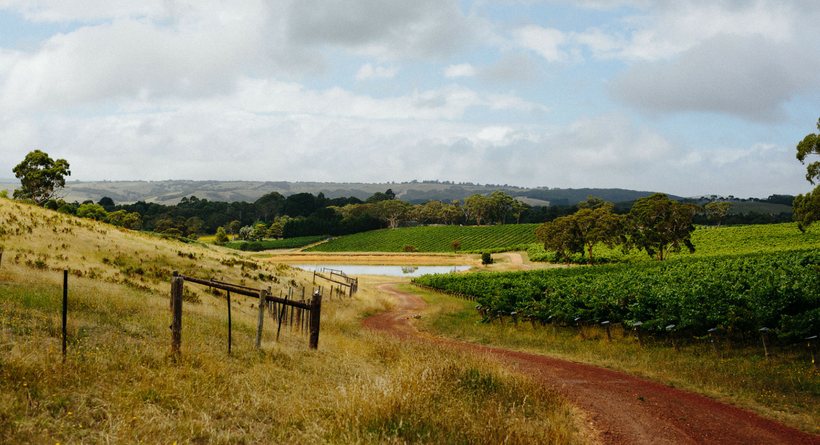 Chain of Pond wines | Halliday Wine Companion